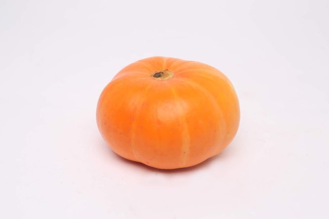 Pumpkin x 1 unit
